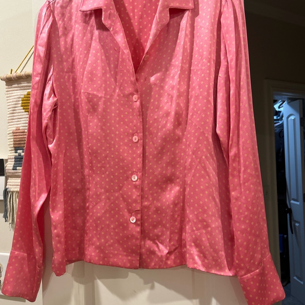 Beautiful‎ Worth brand 100% silk top